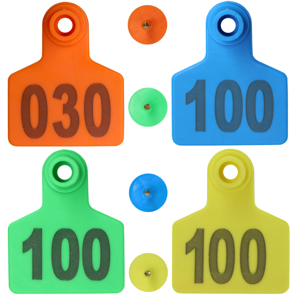 20PCS Consecutive Numbers Pig Ear Tags Orange Blue Green Yellow Earrings Farm Animal Livestock Digital Identification Card